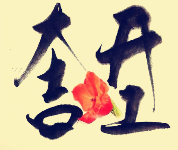 駿業(yè)包裝開工大吉！