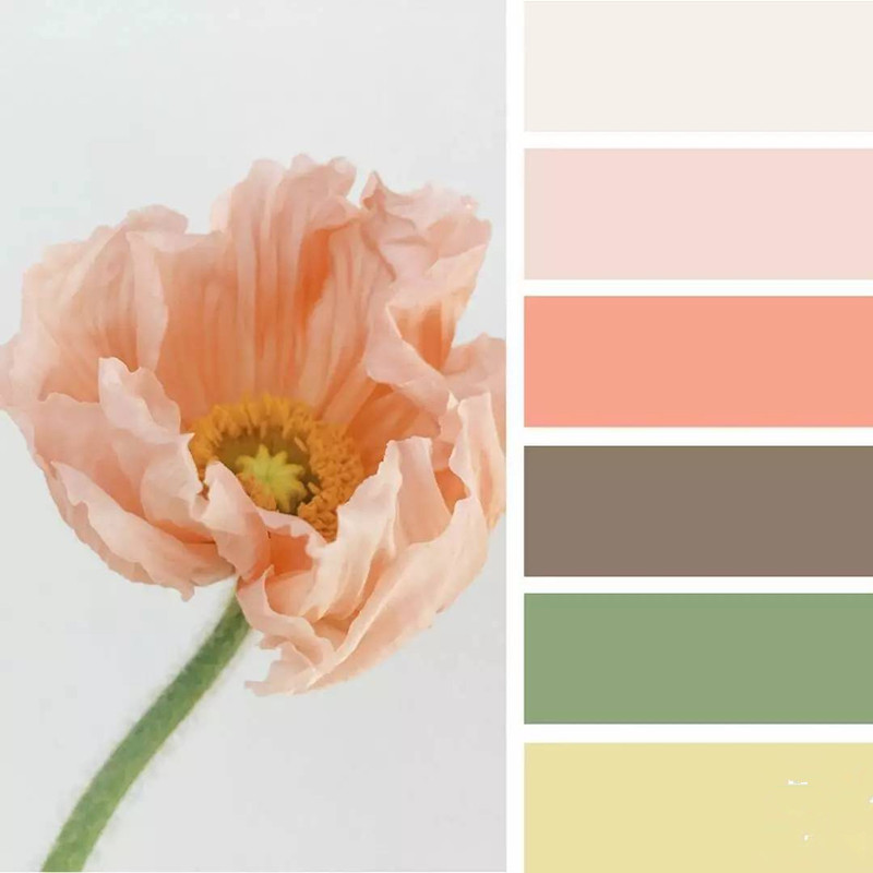 化妝品盒色彩搭配-廣州駿業(yè)包裝實業(yè)有限公司 化妝品盒色彩搭配