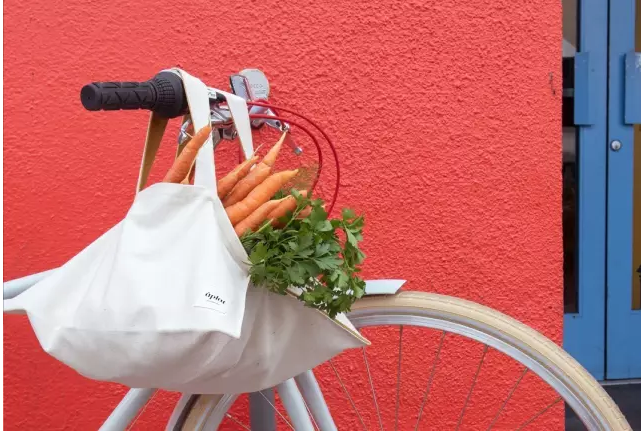 環(huán)保手提紙袋廠家-廣州駿業(yè)包裝實(shí)業(yè)有限公司 環(huán)保手提紙袋廠家