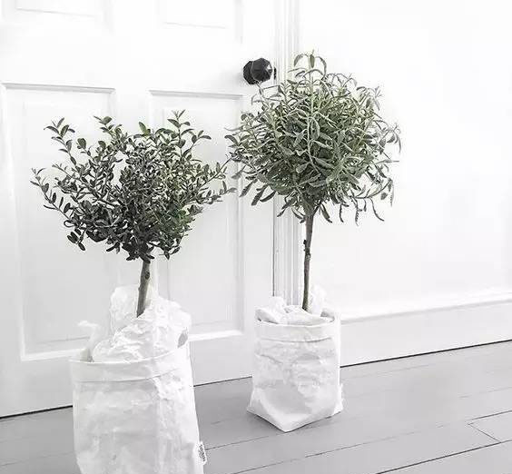 印刷禮品袋定做-廣州駿業(yè)包裝實業(yè)有限公司 印刷禮品袋定做