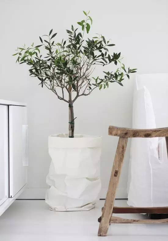 印刷紙袋訂做-廣州駿業(yè)包裝實業(yè)有限公司 印刷紙袋訂做